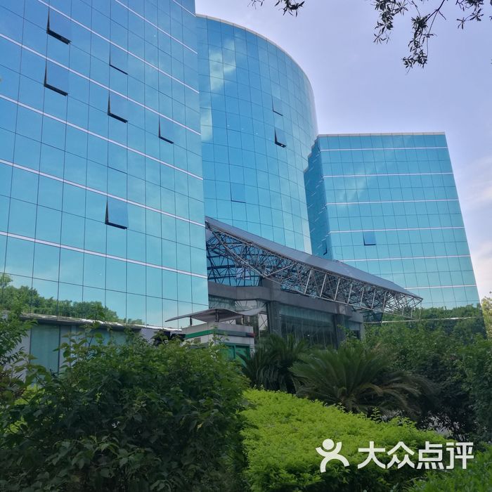 金百合大酒店停车场