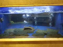 -阿英煲(凉城路店)