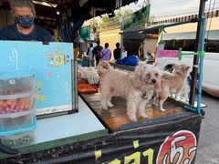 -席娜卡琳火车铁道夜市