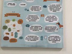 -美联众合爱康动物医院•复杂内科•肿瘤科•牙科•腔镜诊疗中心