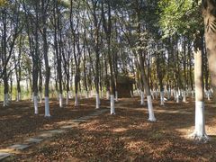 -艾溪湖湿地公园