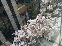 -嘉悦汗蒸时代(曙光路店)