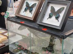 -万达广场(大明宫店)