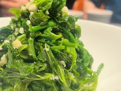凉拌桑叶尖-肆月河豚·淮扬菜·湘菜(华天店)