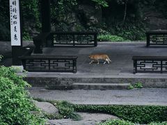 -杭州黄龙洞