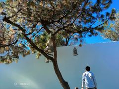 -云禾壹海景庄园餐厅