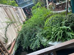 -大融厨·鸡毛店·川菜(果壳里东安湖店)