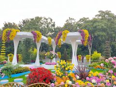 -上海共青森林公园