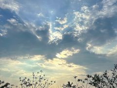 -武陵山森林公园
