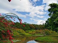 -中国科学院西双版纳热带植物园