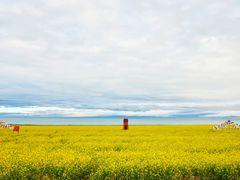 -青海湖国家重点风景名胜区