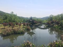 -石塘人家