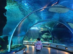 -石家庄海洋公园