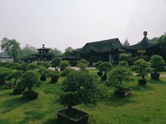 -盆景园(扬州大运河文化旅游度假区)