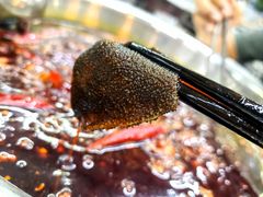 鲜毛肚-电台巷火锅(科华总店)