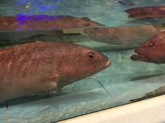 -宜宾海鲜酒家·三十年老字号