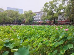 -四川大学(望江校区)
