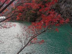 -叠溪松坪沟景区