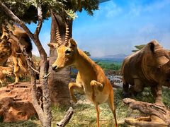 -国家自然博物馆