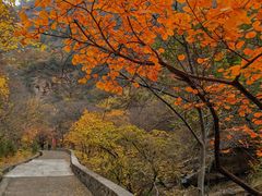 -北京上方山国家森林公园