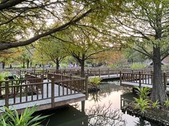 -五缘湾湿地公园