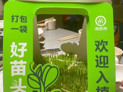 -海底捞火锅(新华联梦想城店)