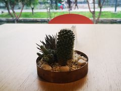 -春风习习