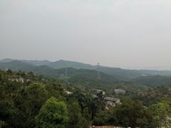 -清境桃源