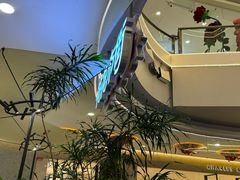 -野人先生Gelato(上海长宁龙之梦店)