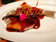 西湖醋鱼-绿茶餐厅(石家庄万象城店)
