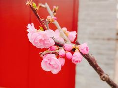 -香山公园