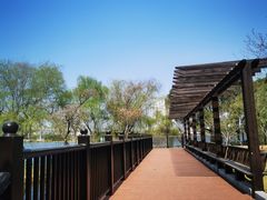 -金银湖国家城市湿地公园