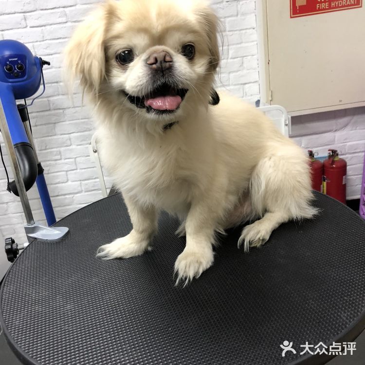 乒小乓，你想姐姐了吗？