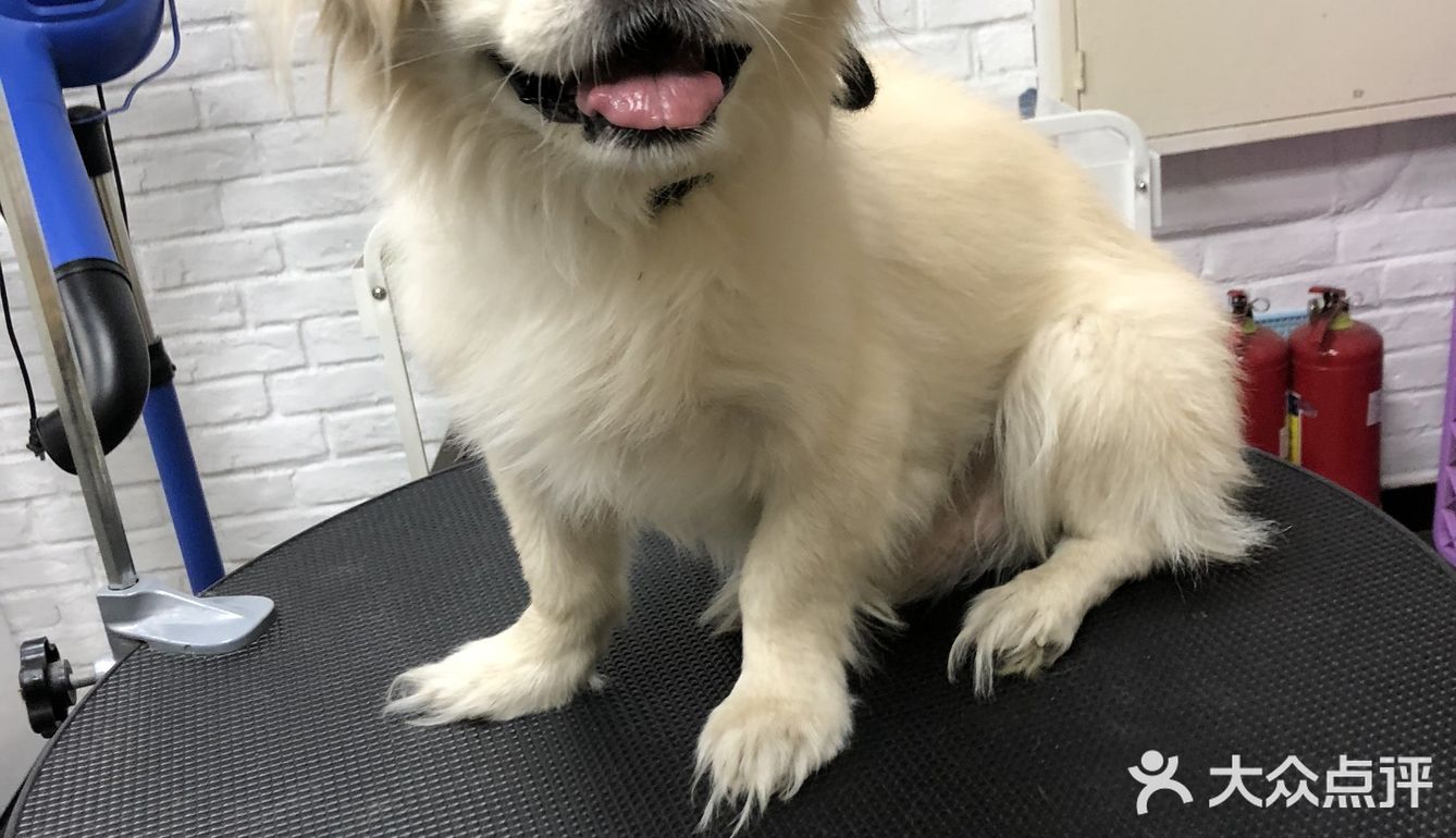 乒小乓,你想姐姐了吗?