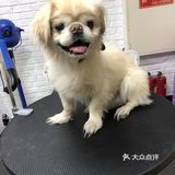 乒小乓,你想姐姐了吗?