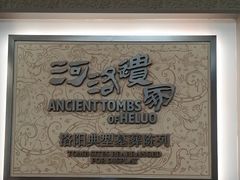 -洛阳古墓博物馆