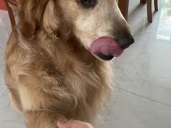 -宠颐生宠物医院·骨外科·犬猫全科诊疗中心(池州店)