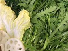 -老阿妈蒙古村·蒙古包·草原文化·歌舞表演(老君堂店)