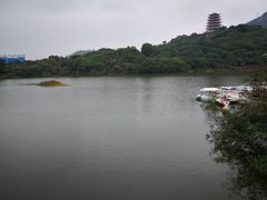 -清溪大王山森林公园