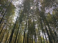 -竹泉村旅游度假区