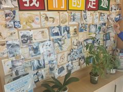 -派联宠物医院·24h·CT·异宠
