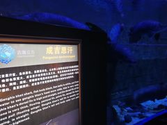 -成都浩海立方海洋公园