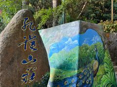 -西双版纳原始森林公园