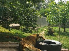 -西安秦岭野生动物园