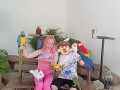 -吉隆坡雀鸟公园