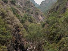 -云岫谷游猎自然风景区