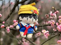 -洋湖国家湿地公园