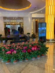 -华东饭店·园林式婚礼宴会厅酒店