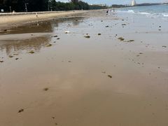 -三亚海棠湾万丽度假酒店