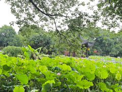 -丝绸小镇荻港古村